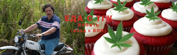 прущие грибы Вяземский