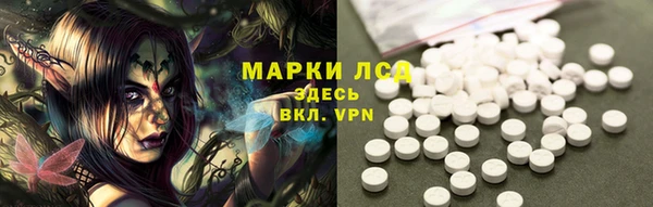 прущие грибы Вяземский