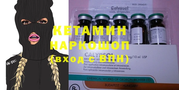 прущие грибы Вяземский