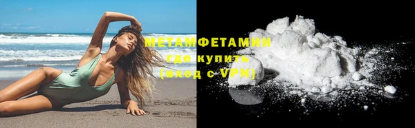 прущие грибы Вяземский