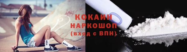 прущие грибы Вяземский