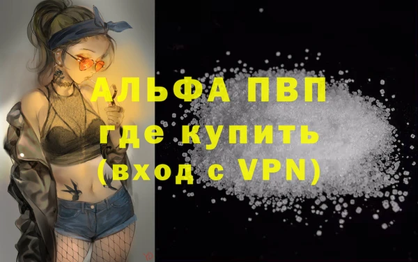шишки Верхний Тагил