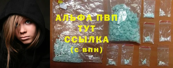 прущие грибы Вяземский