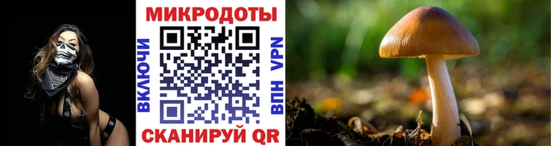 маркетплейс клад закладки Демидов Псилоцибиновые грибы GOLDEN TEACHER OMG ССЫЛКА